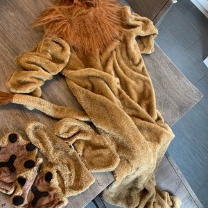 Lion costume